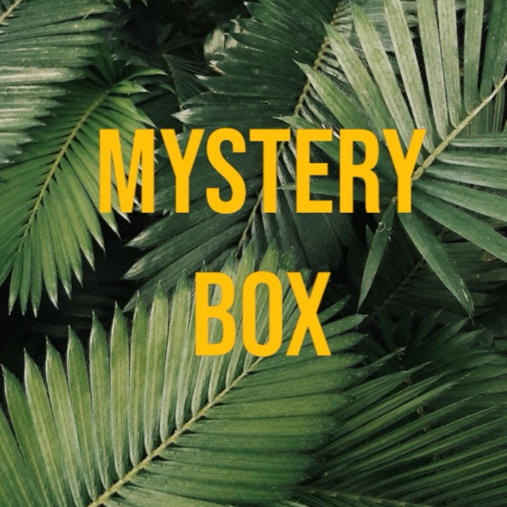Mystery box of 5 items